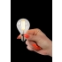 LED BULB 49022/04/60